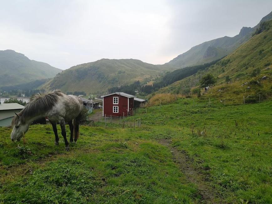 Отель Glamping Lofoten Kongsjorda Экстерьер фото