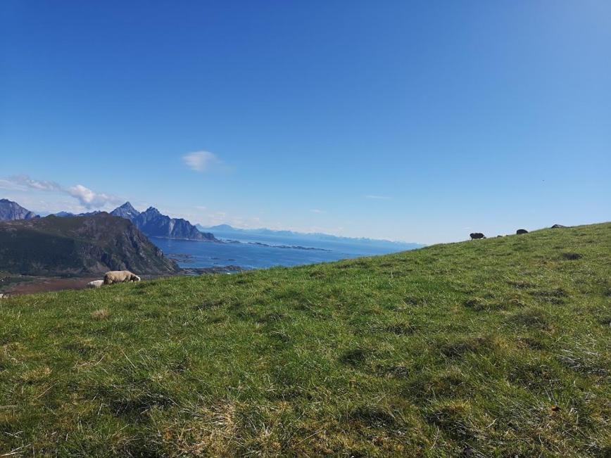 Отель Glamping Lofoten Kongsjorda Экстерьер фото